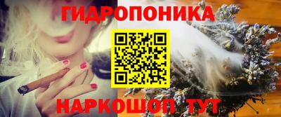 мдпв Гудермес