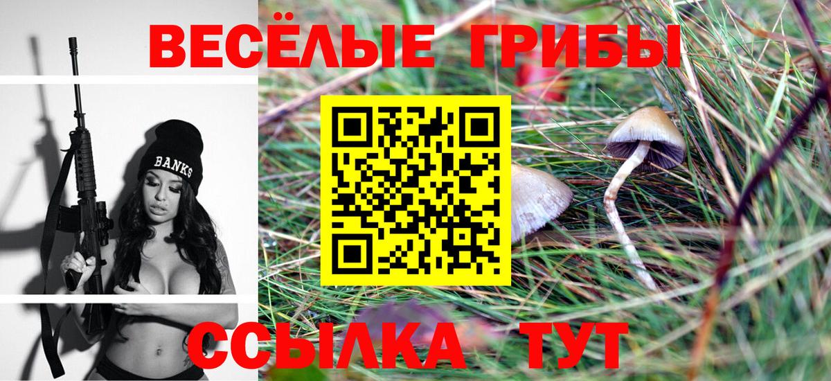 Псилоцибиновые грибы MAGIC MUSHROOMS Ачхой-Мартан